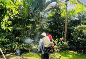 DỊCH VỤ DIỆT CÔN TRÙNG VŨNG TÀU