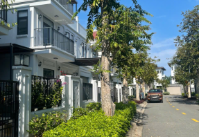 Diệt Mối Vũng Tàu Uy Tín – Cam Kết Diệt Tận Gốc 100%