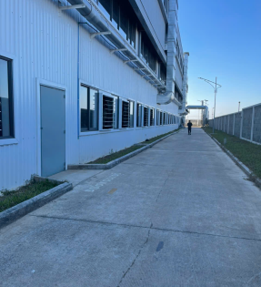 Diệt chuột nhà máy tại Vũng Tàu