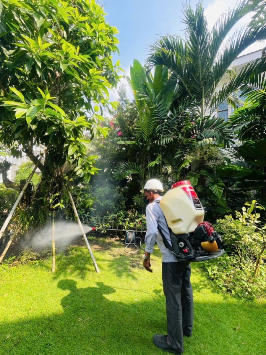 diệt muỗi vũng tàu