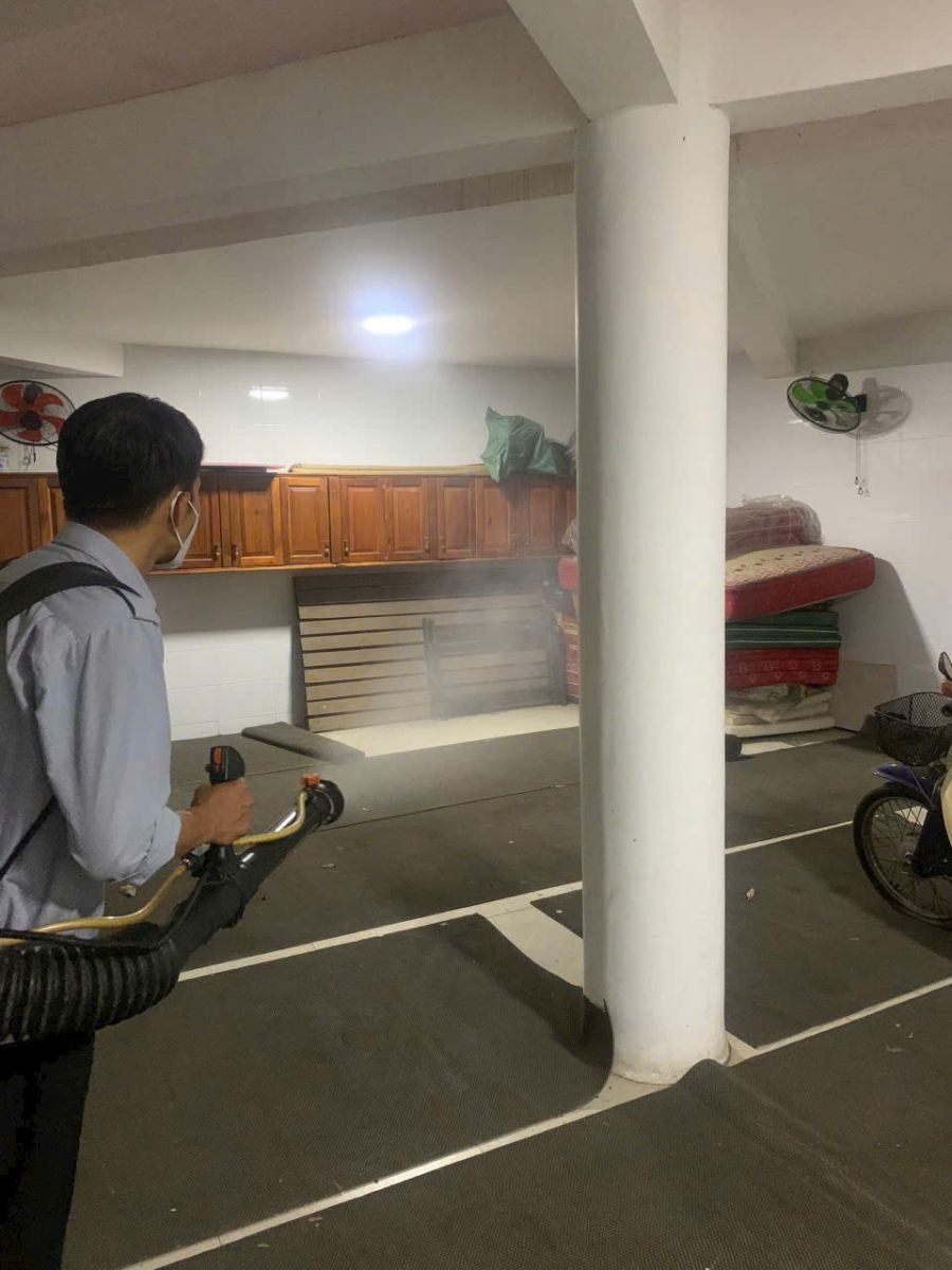 diệt kiến vũng tàu