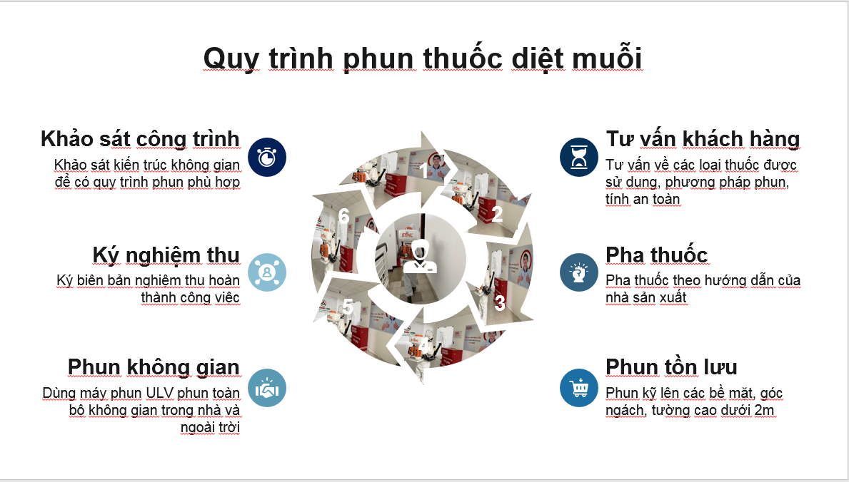 Quy trinhf diệt muỗi Vũng Tàu