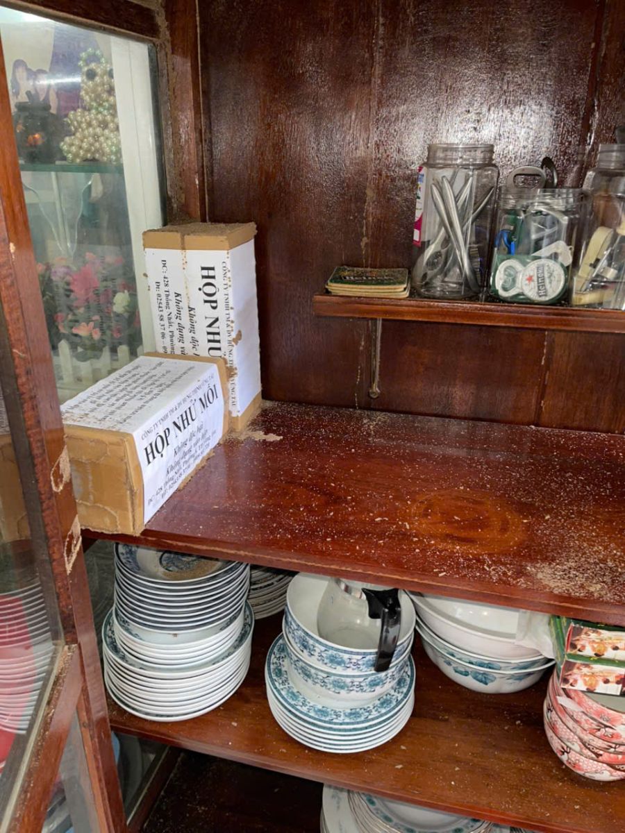 diệt mối