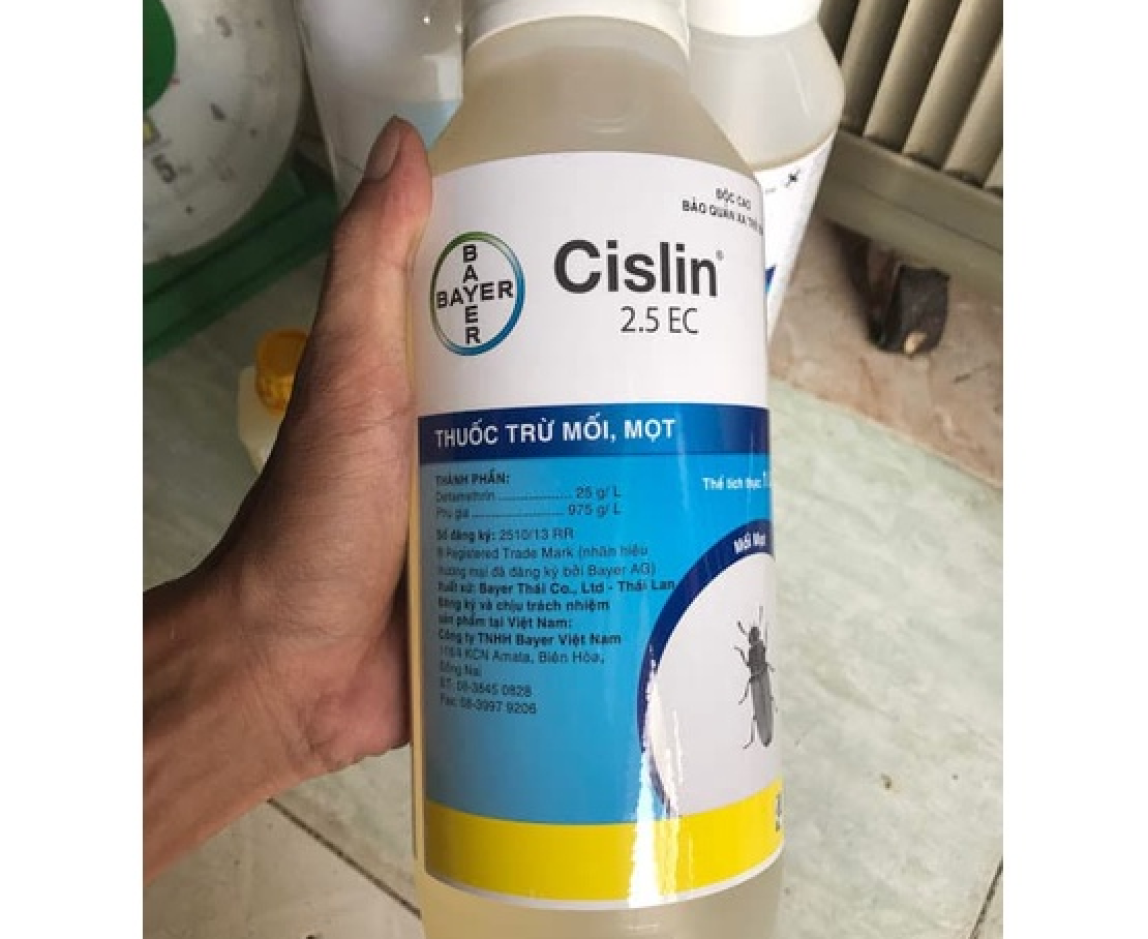 Thuốc trị mối mọt trên gỗ CISLIN 2.5EC