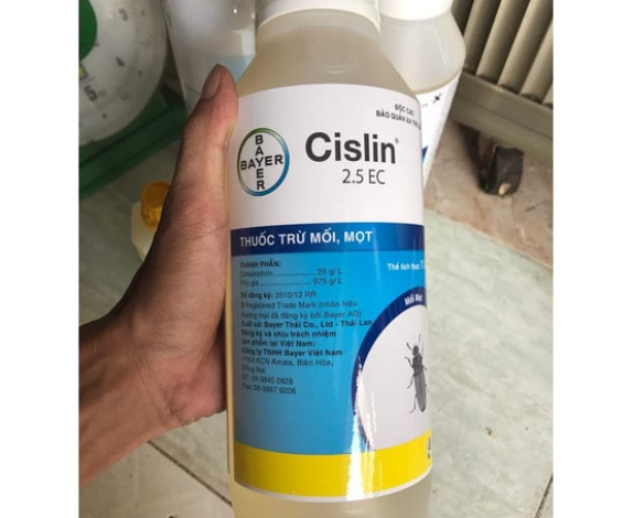 Thuốc trị mối mọt trên gỗ CISLIN 2.5EC